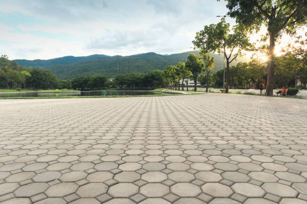 Best Decorative Driveway Pavers  in Punta Gorda, FL